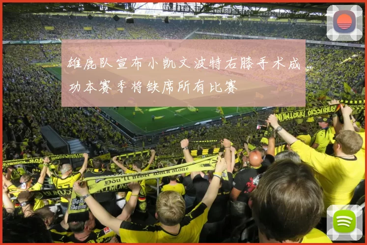 雄鹿队宣布小凯文波特右膝手术成功本赛季将缺席所有比赛