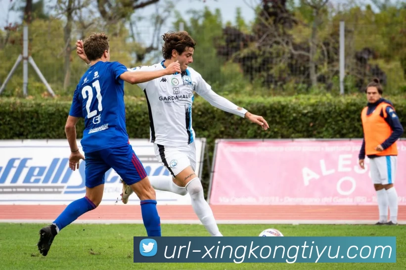 星空体育发展历程